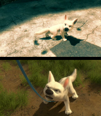 Bolt