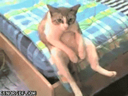 [iwastiredp1[3].gif]