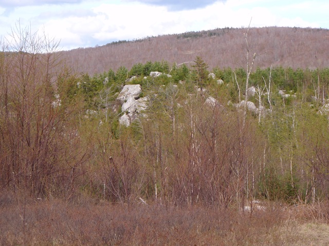 [P5010389[2].jpg]