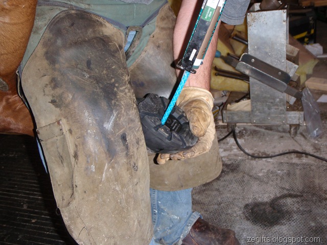 [P6220559[2].jpg]