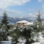 IMG_9261.jpg