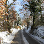 IMG_9189.jpg