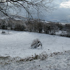 IMG_9258.jpg