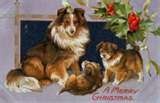 [122509 thumbnailCAC4712C vintage christmas card dogs[9].jpg]