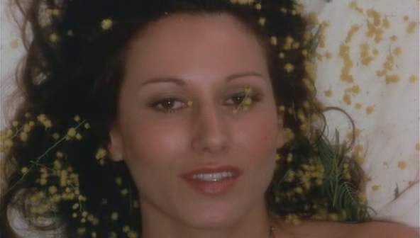 [vlcsnap-2011-01-01-19h37m46s101[2].png]