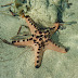 P1060332, Palawan, Puerto Princesa, Honda Bay, Pandan Island.JPG, P1060332, Palawan, Puerto Princesa, Honda Bay, Pandan Island.JPG, Philippines 2 Palawan