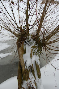 Het kleine Paradijs in de winter