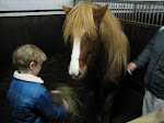 Einar Trausti and his new horse Toppa