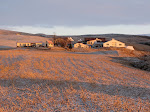 gonguferd 002.jpg