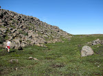 gonguferd 018.jpg