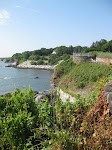 USA_Reunion 029.jpg