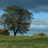 20091011_0217.JPG