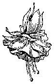 Slideshow of a selection of Rubber Stamp designs