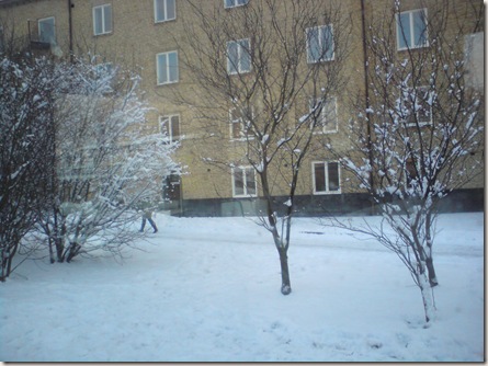 DSC01315