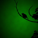 green dark.jpg