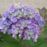 DSC01908.JPG
