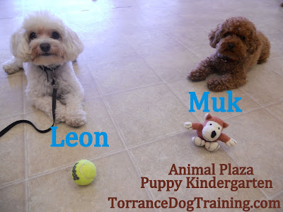 Leon and Muk with their favorite toys