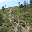 DSC06787.JPG