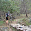 DSC08778.JPG