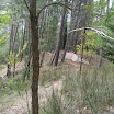 DSC08792.JPG