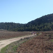DSC08050.JPG