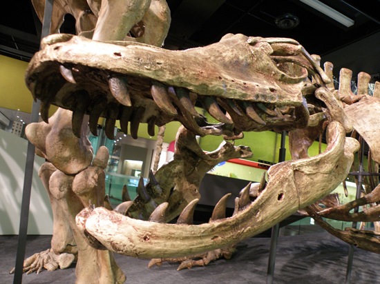 [P4220507[2].jpg]