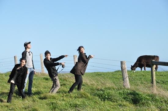 [DSC_60005.jpg]