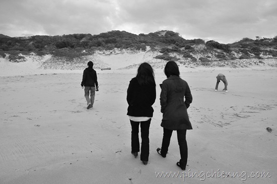 [DSC_61785.jpg]