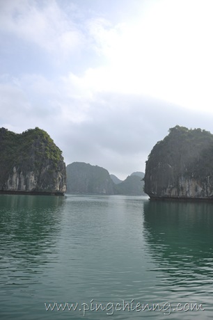 [DSC_14342.jpg]