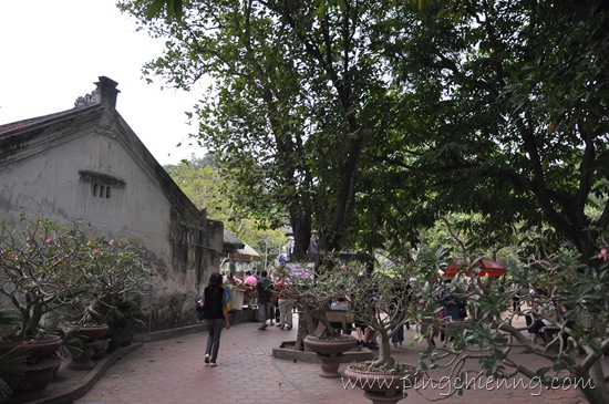 [DSC_00522.jpg]