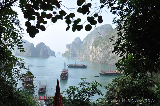 [DSC_1026[5].jpg]