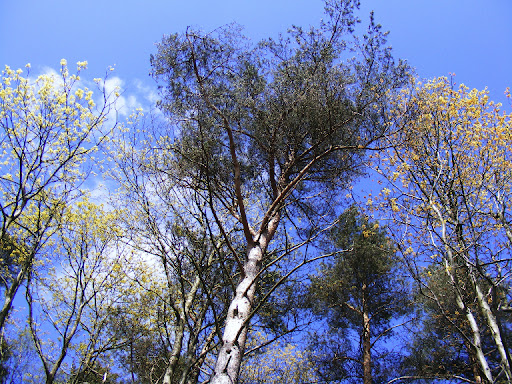 DSCF1027.mzJ7cyEmBVHf.jpg