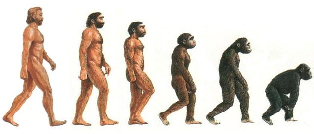 [Evoluzione[6].jpg]