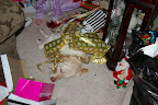That's okay gypsy, you're fine right where you are...