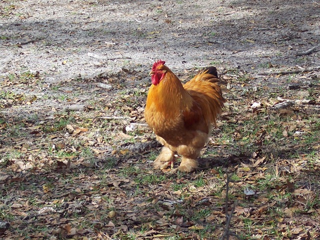 [2009120013.jpg]