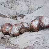 Painted Desert Petrified Forest