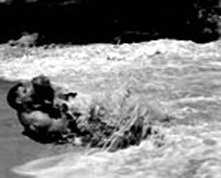 Burt Lancaster Debora Kerr1