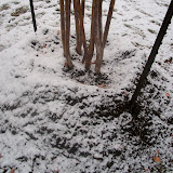 Snow in Houston!