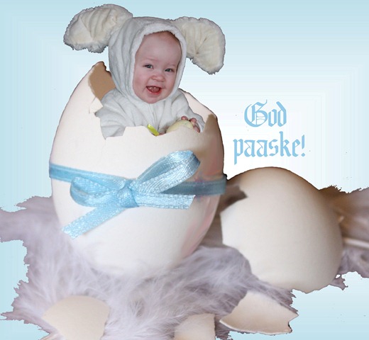 [baby easter egg[3].jpg]