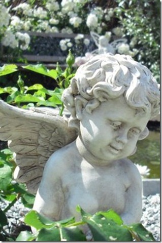 [BEAC24~1_thumb[8][3].jpg]