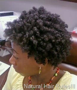 [twistout2 - top view[5].jpg]