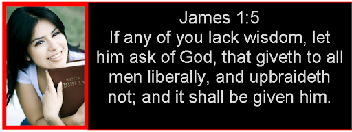Get Wisdom from God's Holy Word