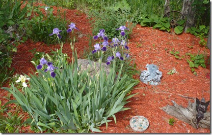 garden7 garden7