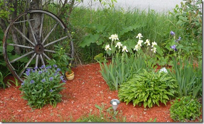 garden6 garden6