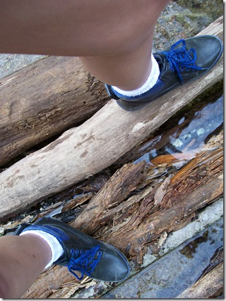 took a hike162