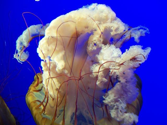 [vacation 2009313[6].jpg]