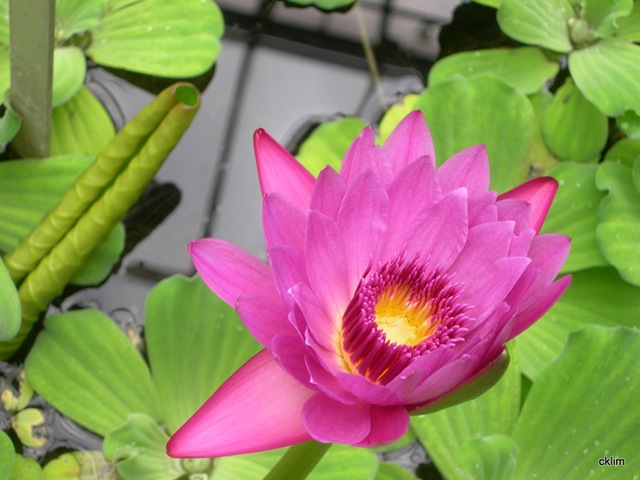 [DSCN77312.jpg]