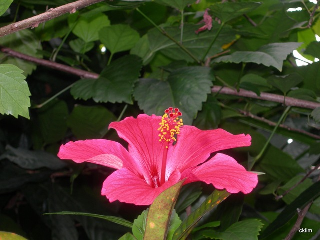 [DSCN77292.jpg]