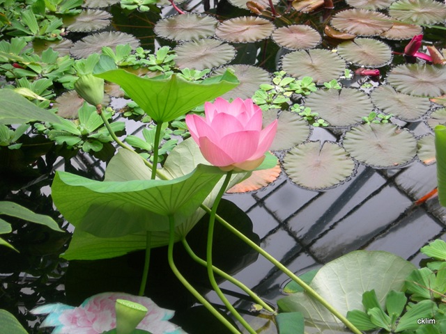 [DSCN77382.jpg]