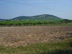 DSC02570.JPG